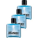 Avon Musk Marine Erkek EDT Parfüm 75 ml Üçlü Set Odunsu Koku ile Ferah ve Maskülen