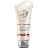 Avon Planet Spa Antioksidan Etkili 50 ml Yüz Maskesi