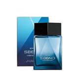 Avon Segno Visionary EDP 75 ml Erkek Parfümü