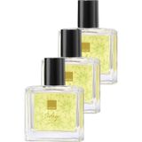 Avon Today Tomorrow Always EDP 3x30 ml Kadın Parfüm