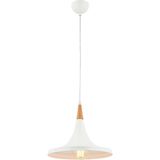Avonni 4100 Beyaz 60 W Modern Avize