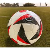 Avrupa Futbol Şampiyonası Maç Topu Kabartmalı Yüzey Halı Saha Çim Topu(Beton Zemine Uygun) Pompa