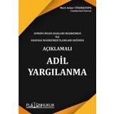 Avrupa İnsan Hakları Mahkemesi ile Anayasa Mahkemesi İlamları Işığında Adil Yargılanma