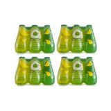 Avşar 200 ml Kivi Limon C Plus Maden Suyu (24 adet)