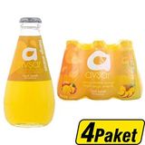 Avşar Mango & Ananas Aromalı Maden Suyu 24 X 200 Ml
