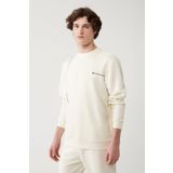 Avva A41Y1224 Ekru Erkek Sweatshirt