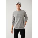 Avva A41Y1235 Gri Erkek Sweatshirt