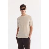AVVA Erkek Bej Bisiklet Yaka Keten Karışımlı Comfort Fit Triko T-Shirt A61Y5014 - 3XL