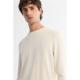 AVVA Erkek Ekru Bisiklet Yaka Viskon Karışımlı Basic Triko Regular Fit Kazak B005021 - XL