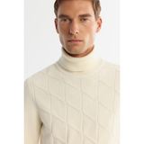 Avva Erkek Ekru Regular Fit Tam Balıkçı Yaka Desenli Soft Touch Triko Kazak A42Y5117 - XL