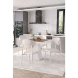 Avvio Essen Beyaz Polo Metal Sandalye 90X90 Kare Yemek Masası Mutfak Masası Masa Sandalye Takımı