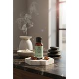 AVYNA %100 Saf Soğuk Sıkım Argan Yağı 30 ml | Saç & Cilt Için Yoğun Nemlendirici ve Onarıcı Bakım