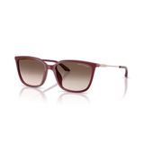 AX 4171SU 83873B 55 Armani Exchange Güneş Gözlüğü