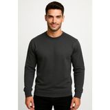 Axxel Erkek Füme SWEATSHIRT-W1083-F1 - Antrasit