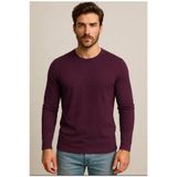 AXXEL Erkek Mürdüm Pamuklu Likralı Süprem Uzun Kollu T-shirt-D240