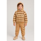 Ay Kids Erkek Çocuk 2’li Takım Kapüşonlu Peluş Sweatshirt & Cepli Eşofman Alt 10721- - Kahverengi