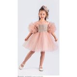 Ay Kids Kız Çocuk Payetli Tül Elbise (Tokasız Fiyonksuz) – Prenses Model Özel Gün Elbisesi 1616-Y - 6 Yaş - Mavi