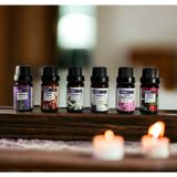 AY MAGNET Point Care Popüler Mum Esans Seti Lavanta-Sandal-Yasemin-Vanily-Krzçiçeği-Amber Soya Wax Parafin Jel Mum - 6 Adet