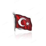 Ay Yıldız 925 Ayar Gümüş Rozet