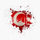 Ay Yıldız Ve Cami Sticker Etiket Oto Yapıştırma 18Cm