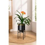 Ayaklı Metal Saksı Siyah Gold Detaylı Dekoratif Çiçeklik 41X21CM | Metal Malzeme, Gold Detaylı - Çok Renkli