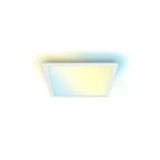 Ayarlanabilir Beyaz Işık Panel Tavan Lambası, Kısılabilir, 1000 Lm