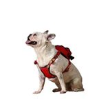 Ayarlanabilir Çantalı Göğüs Tasması İle Çok Cepli Köpek Sırt Çantası