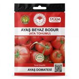 Ayaş Beyaz Bodur Domates Ata Tohumu (50 Adet)