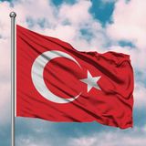 AYB20A5 20 * 30 Türk Bayrağı Alpaka 5'li paket