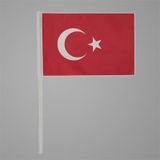 AYB20MS50 20 * 30 Sopalı Türk Bayrağı 50'li Paket
