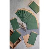 Aybaş Kağıtçılık 1. Kalite 16X21 Cm ( 20 Adet ) Yeşil Renk Hediye Paketi, Hediye Poşeti, Kraft Kese Kağıdı