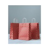 Aybaş Kağıtçılık 1.Kalite 18X24 Cm (15 Adet) Kırmızı Renk Beyaz Benekli Kraft Kağıt Çanta,Hediye Poşeti,Hediye Paketi