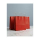 aybaş kağıtçılık 1.Kalite 25x31 Cm (15 Adet) Büyük Boy Kırmızı Renkli Kraft Kağıt Çanta,Hediye Paketi, Hediye Poşeti