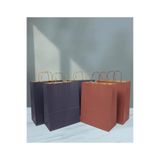 Aybaş Kağıtçılık 1.Kalite 25X31Cm (10Adet)Bordo (10Adet)Lacivert Renkli Kraft Kağıt Çanta,Hediye Paketi,Hediye Poşeti