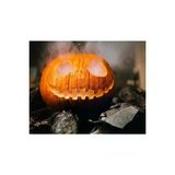 Ayc Botanik 10 Adet Giant Pumpkin - Big Max Halloween Bal Kabağı Tohumu