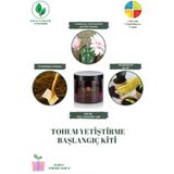 Ayc Botanik Gymnocalycium Horstii Kaktüs Tohumu Yetiştirme Başlangıç Kiti