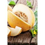 Ayc Botanik Kokulu Ananas Kavun Tohumu / 5+ Adet Tohum
