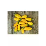 Ayc Botanik Lemon Spice Jalepeno Biber Tohumu