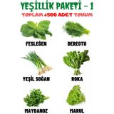 Ayc Botanik Yeşillik Paketi-1 Fesleğen, Dereotu, Soğan, Roka, Maydanoz, Marul Tohum Seti, Toplam +500 Adet Tohum