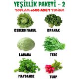 Ayc Botanik Yeşillik Paketi-2 Iceberg Marul, Ispanak, Lahana, Tere, Maydanoz, Turp, Tohum Seti 600 Adet Tohum