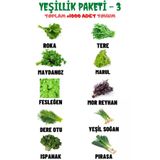 Ayc Botanik Yeşillik Paketi - 3, Toplam 10 Çeşit Ve +1000 Adet Muhteşem Yeşillik Tohum Paketi