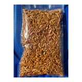 AYC Kaplumbağa yemi karides (3 paket)54gr