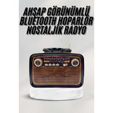 Aycer Bluetooth Hoparlör Ahşap Renk Vintage Işıklı Nostaljik Radyo Fm Ahşap Görünümlü - Lisinya