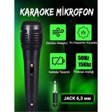 Aycer Karaoke Mikrofon Kablolu Mikrofon 6.5 mm Karaoke Mikrofonu ( Lisinya )