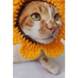 Ayçiçeği Bandana Tasma Yazlık Örgü Kedi Köpek Şapkası Evcil Hayvan Şapkası Pet Aksesuarları