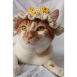 Ayçiçeği Sunflower Bucket Şapka Örgü Kedi Köpek Şapkası Evcil Hayvan Şapkası Pet Aksesuarları