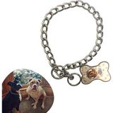 Ayder 65 cm Uzunlukta Zincir Model Köpek İçin Boyun Tasması (Timya/Go1395) 201358