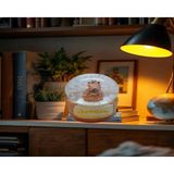 Ayder Online Satış Capybara figürlü 7cmx5cm ebat pilli ışıklı dekoratif kar küre