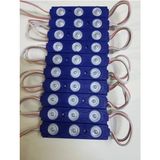 Ayder Timya 10 Adet Mavi Modül LED 2835 Mercekli 1.5 Watt 12 Volt Enerji Verimli Aydınlatma