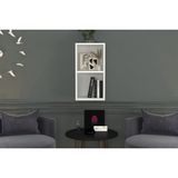 Aydın Kitaplıklı Raf, Dvr-1035